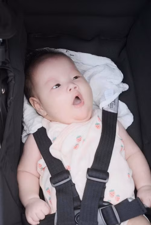 Cặp song sinh nhà Phương Oanh - Shark Bình trộm vía bụ bẫm.