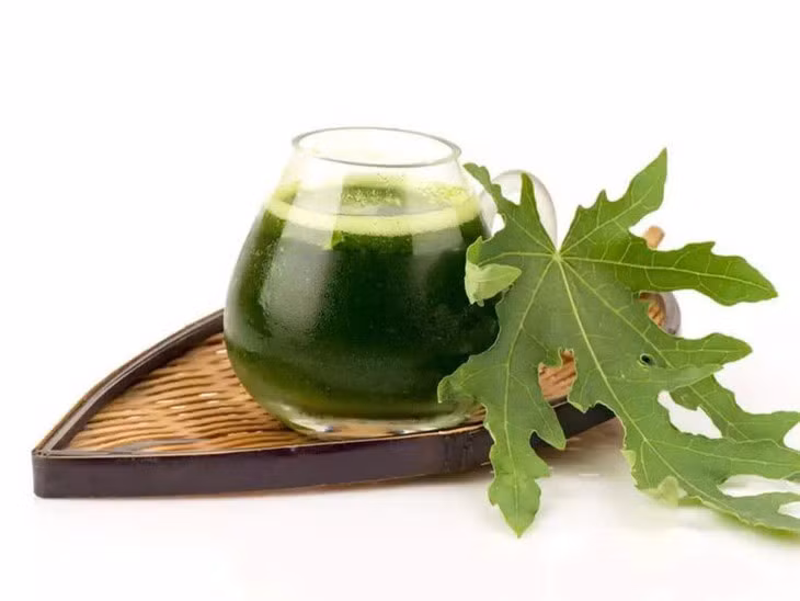 Loi ich tuyet voi cua la du du voi suc khoe-Hinh-3