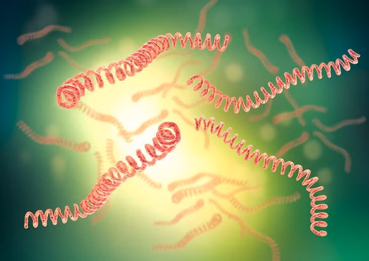 5 nguoi nhiem khuan sau lu: Benh xoan khuan vang da nguy hiem sao?