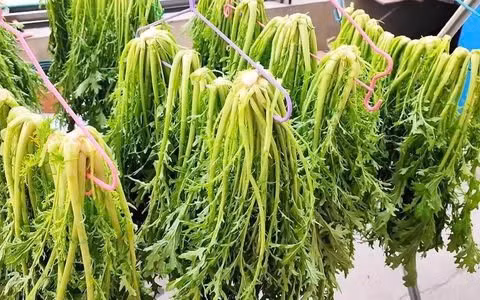  Tăng cường sức khỏe mắt: Cải mizuna chứa một lượng khá lớn vitamin A. Nó cũng là một nguồn tốt để cung cấp lutein – một loại carotenoid có tính chất chống oxy hóa có thể giúp bảo vệ tầm nhìn và sức khỏe mắt của bạn. Các nghiên cứu chỉ ra rằng việc tăng lượng lutein có thể làm giảm nguy cơ rối loạn như thoái hóa điểm vàng liên quan đến tuổi tác.