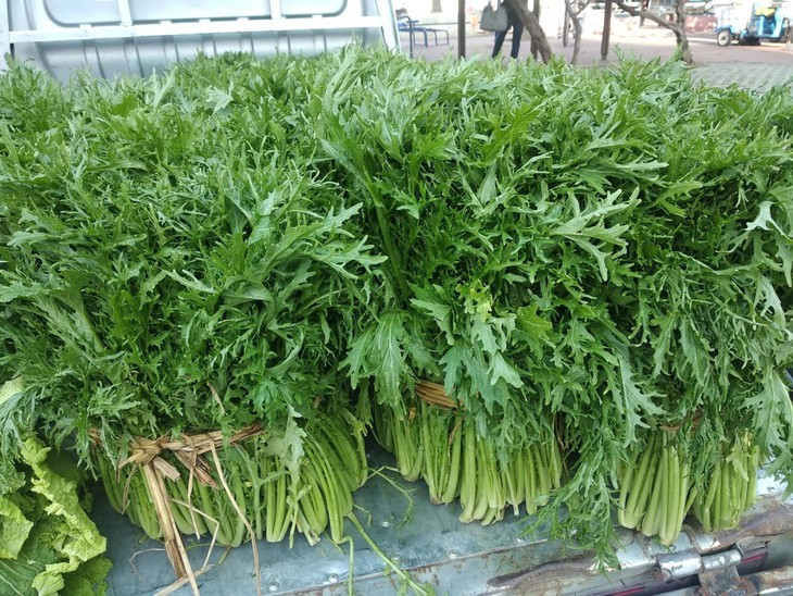  Phòng chống ung thư: Việc đưa rau xanh vào chế độ ăn uống hằng ngày sẽ mang lại nhiều lợi ích tuyệt vời cho sức khỏe. Với rau cải mizuna, ngoài tác dụng phòng chống oxy hóa mạnh mẽ còn có tác dụng phòng chống ung thư. Bởi vì trong rau cải mizuna chứa thành phần chất glucosinolates, đây là loại chất có tác dụng chống ung thư trực tràng và phổi. Ngoài ra, thành phần chất này còn hỗ trợ bảo vệ các tế bào, ngăn chặn sự hình thành và phát triển của tế bào ung thư. Ảnh minh họa