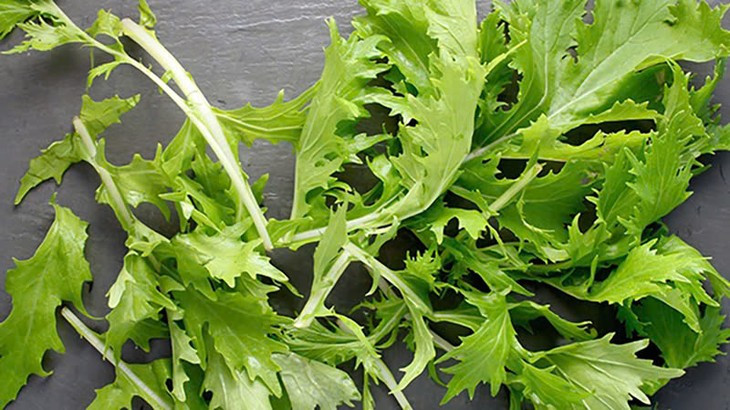 Các nhà khoa học đã phân tích cho thấy rau cải mizuna có lượng calo thấp và chứa nhiều vitamin, khoáng chất như vitamin A, C, K, chất xơ và chất chống oxy hóa, mang lại nhiều lợi ích cho sức khỏe. Ảnh minh họa