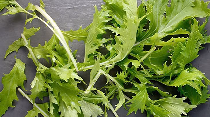 Các nhà khoa học đã phân tích cho thấy rau cải mizuna có lượng calo thấp và chứa nhiều vitamin, khoáng chất như vitamin A, C, K, chất xơ và chất chống oxy hóa, mang lại nhiều lợi ích cho sức khỏe. Ảnh minh họa