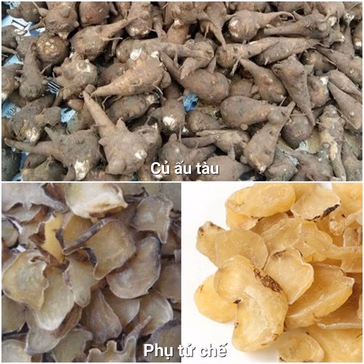 Người đàn ông tê bì tứ chi khi dùng củ ấu tàu chữa bệnh Nguoi dan ong te bi tu chi khi dung cu au tau chua benh