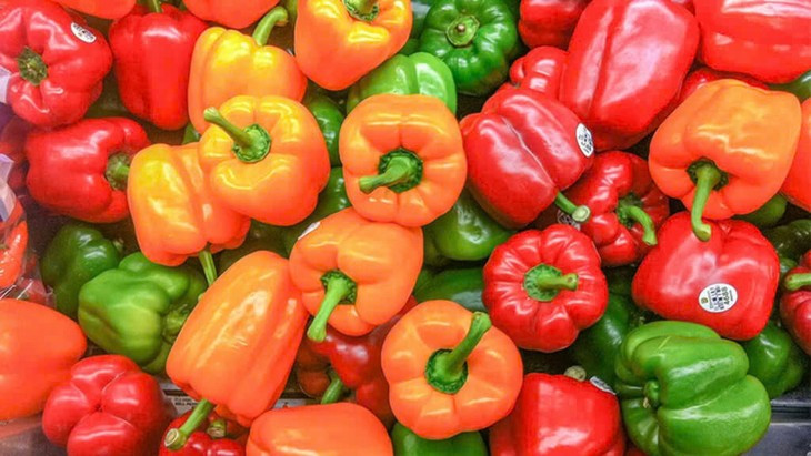  Bảo vệ sức khỏe tim mạch: Tim của chúng ta luôn phải hoạt động liên tục do đó chúng cần được bảo vệ và cung cấp đầy đủ dưỡng chất. Thành phần trong ớt chuông có tác dụng chống oxy hóa và ngăn chặn tác động của các gốc tế bào. Do đó chúng sẽ hỗ trợ rất tốt trong việc tránh tổn thương tế bào hoặc giúp cho quá trình phục hồi tế bào diễn ra nhanh hơn. Trong ớt chuông cũng có các hoạt chất là phenol và flavonoid có tác dụng giảm cholesterol xấu có trong máu và giảm nguy cơ mắc bệnh mãn tính. Ngoài ra nhờ vào tỷ lệ mỗi chất khá cao nên có thể ngừa bệnh tim do thiếu máu cục bộ. Một hợp chất không thể bỏ qua đó là phytonutrients cũng hỗ trợ rất lớn trong việc giảm nguy cơ mắc bệnh về đường hô hấp. Ảnh minh họa