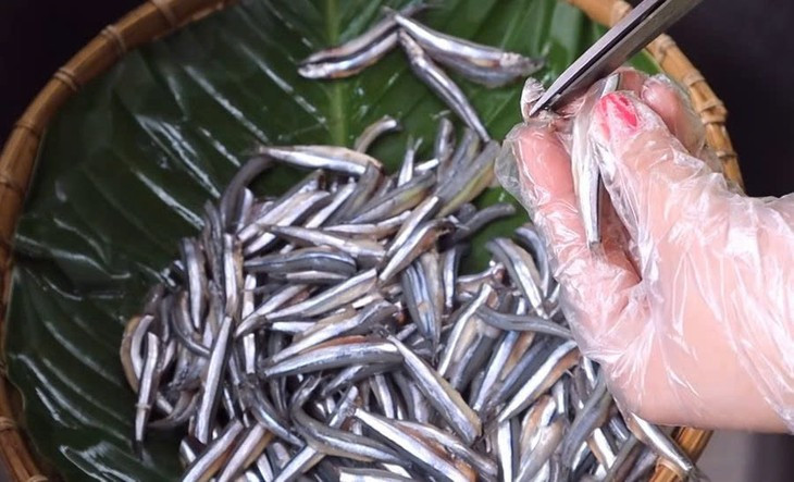 Theo Viện Y học Ứng dụng Việt Nam, cá cơm có nhiều axit béo omega-3, protein, vitamin và khoáng chất giúp duy trì sức khỏe tốt. Chúng chứa canxi, sắt, magiê, phốt pho, kali, natri và kẽm. Cá cơm là một nguồn giàu vitamin như thiamin, riboflavin, niacin, folate, vitamin C, B12, B6, A, E và K. Loại cá này cũng chứa chất béo và cholesterol tốt.