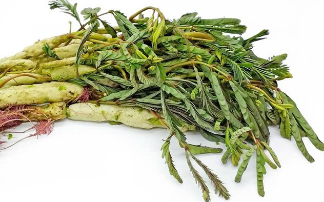 Ở Việt Nam, rau rút có ở một số tỉnh miền Bắc và miền Tây. Loại rau này mọc ở ao hồ, đầm lầy, chỗ nào có nước hoặc các vùng ẩm thấp rau đều mọc tua tủa. Ảnh Internet