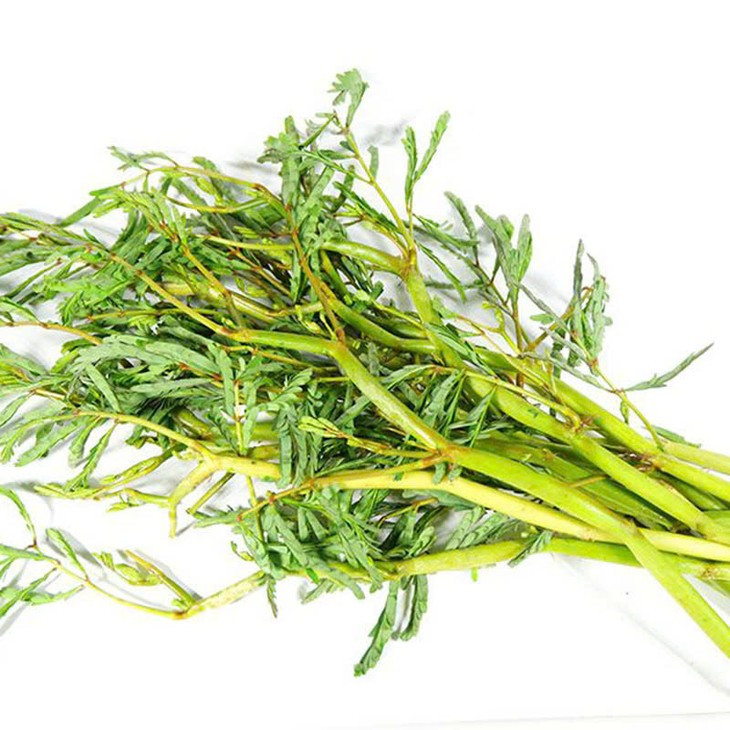 Theo các nghiên cứu khoa học, rau nhút có thành phần dinh dưỡng bao gồm theonin, amin leucin, methionin, vitamin B12,… đồng thời lượng protein trong rau nhút được các nhà khoa học đánh giá là rất cao, cao hơn nhiều so với một số thực phẩm phổ biến như xà lách, mồng tơi hay rau muống,… Ảnh Internet