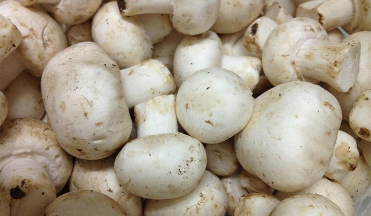 Trong nấm còn có một lượng chất xơ, Ca, P, Fe, vitamin B1, B2, C cần thiết. Ngoài ra, nấm còn chứa nhiều loại axit amin quý như: threonine, alanine, aspartic acid, leucine, citrulline, glycine, glutamic acid, sarcosine, proline…, cùng nhiều nguyên tố vi lượng khác như: Na, K, Mn, Zn, Cu,.. Ảnh Internet