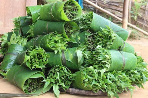 Chữa bệnh đường tiêu hóa: Loại rau này có thể giúp điều trị các vấn đề về tiêu hóa như viêm đại tràng, táo bón và loét dạ dày. Ảnh Internet