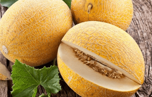  Dưa vàng: Vỏ dưa vàng khá đắng nhưng chính chất đắng này giúp hấp thụ vitamin C dễ dàng hơn và giúp bài độc cơ thể. Ngoài ra, vỏ dưa vàng còn có tác dụng kháng khuẩn tiêu viêm. Ảnh minh họa