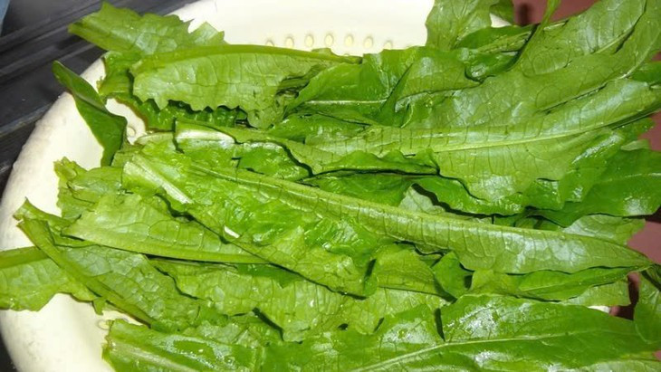 Các chuyên gia dinh dưỡng khuyến cáo rằng bạn nên tiêu thụ rau diếp thơm thường xuyên trong các bữa ăn. Điều này xuất phát từ những lợi ích đặc trưng của rau diếp thơm đối với sức khỏe. Ảnh minh họa