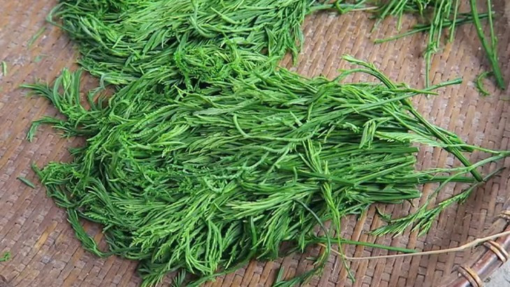 Nhiều người thường ví rau pắc nam với quả sầu riêng. Mùi hôi nồng của chúng khiến những ai lần đầu thưởng thức đều thấy sợ và khó chịu nhưng khi đã ăn quen thì nó lại dễ gây nghiện, khiến ta nhớ mãi. Ảnh Internet