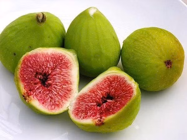  Điều hòa huyết áp: Quả sung rất giàu kali, một loại khoáng chất giúp điều hòa huyết áp. Bổ sung thực phẩm giàu kali giúp hỗ trợ sức khỏe tim mạch và giảm nguy cơ tăng huyết áp.