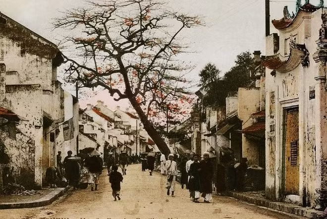 Phố Mã Mây xưa...