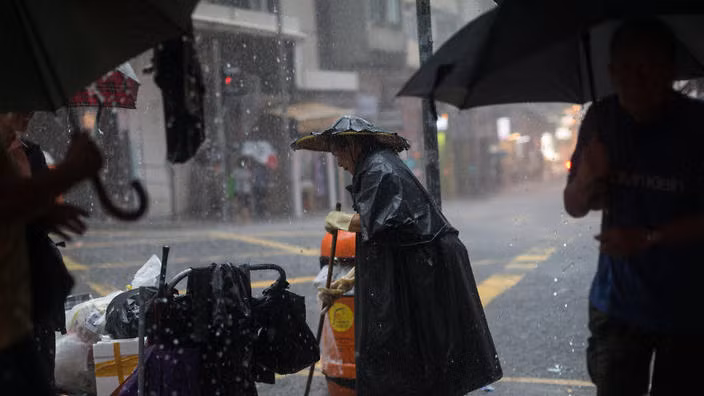 Bao so 8 it co kha nang do bo vao Viet Nam