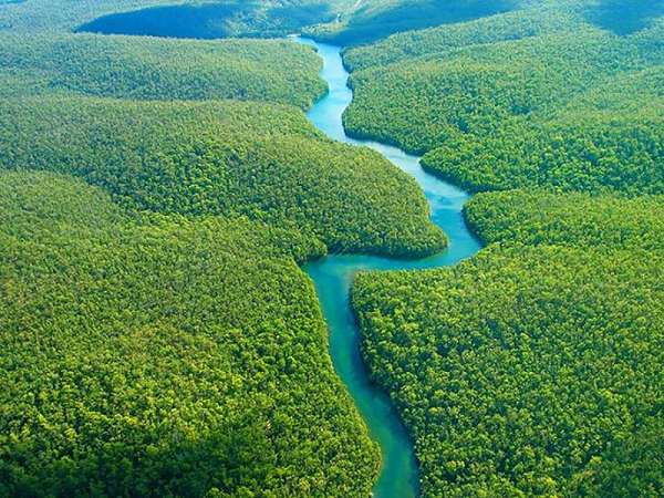 Bên cạnh đó, lưu vực Amazon có rất ít đường để kết nối với những cây cầu. Ngoài một số thành phố lớn, dân cư của những khu rừng rậm rất thưa thớt và tự thân dòng sông là một đường cao tốc của người dân trong vùng.