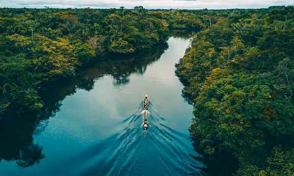  Sông Amazon là một trong những dòng sông dài nhất thế giới. Dòng Amazon có lưu vực chảy qua một khu rừng rậm rộng lớn, với những thác nước đẹp đến mức nghẹt thở hay loài cá heo nước ngọt lớn nhất thế giới...