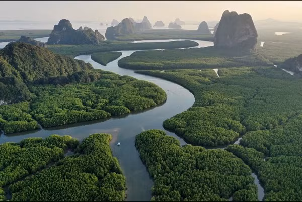 Bão Mitch thay đổi dòng chảy của sông Choluteca, khiến dòng sông không còn chảy dưới chân cầu như xưa. Kể từ đó, cây cầu dường như bị cô lập, không có đường đến cũng không có đường ra và không bắc qua con đoạn sông này.