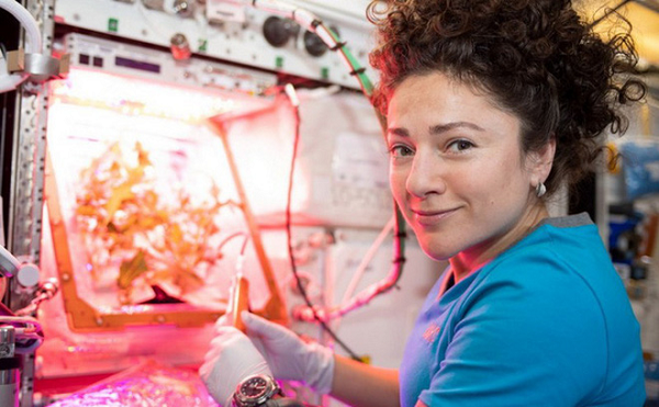 Tuy chiến lược này giúp nuôi mô ở các giai đoạn đầu nhưng sẽ gặp nhiều vấn đề trong dài hạn, như các phản ứng miễn dịch với các giá đỡ tổng hợp hay cấu trúc không chính xác.