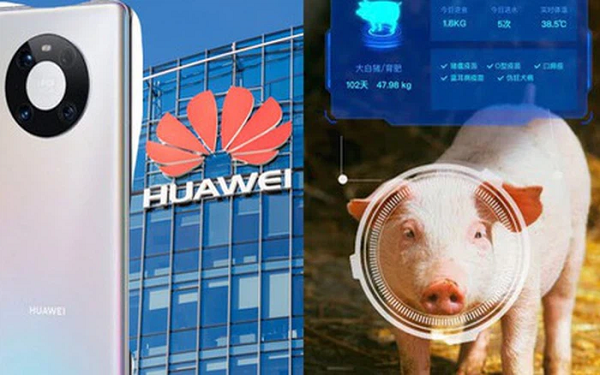 Lệnh trừng phạt mới của Mỹ đã giáng một đòn nặng nề vào đầu Huawei, khiến cho hãng smartphone Trung Quốc không còn có thể tự sản xuất chip xử lý cho những thiết bị di động của mình nữa.