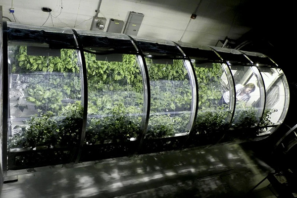 Khoa Nông nghiệp Đại học Arizona phối hợp cùng các nhà khoa học tại NASA xây dựng nhà kính bơm hơi cho việc trồng trọt ngoài không gian. Với diện tích 548 x 213 cm, căn nhà lưu động này có khả năng tái tạo nước, không khí, tái chế chất thải và tự quang hợp. Dự án được kỳ vọng cung cấp đầy đủ lương thực, nước và oxi cho phi hành gia khi sinh sống ở Mặt Trăng hay Hỏa tinh.