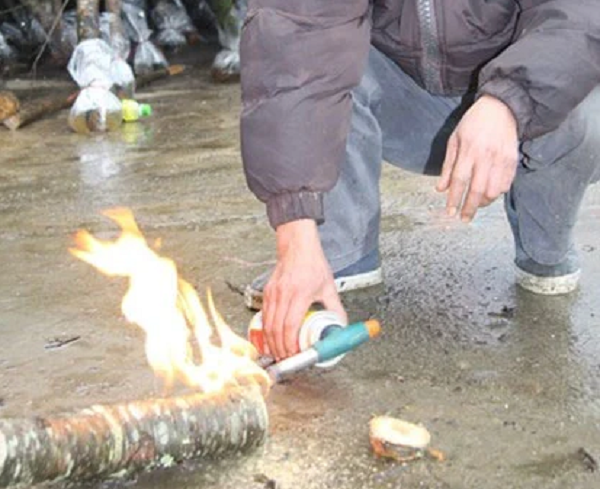 Việc đốt gốc cành đào sẽ gây tắc các mạch, không cho nước và dinh dưỡng đi lên nuôi cành. Nếu đốt quá lâu, quá nhiều sẽ gây tổn thương mạch, tắc mạch, sẽ lại làm cành đào chóng tàn.