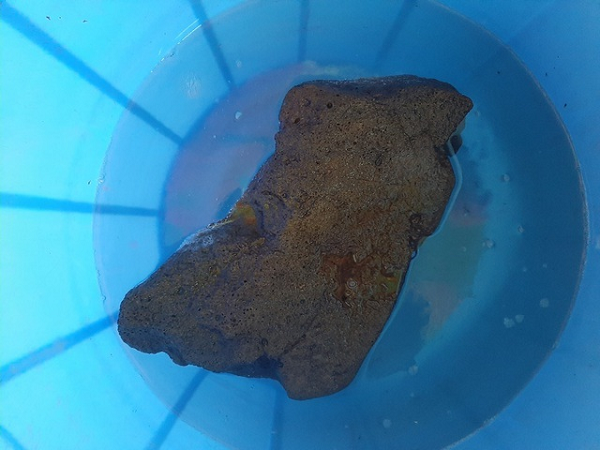 Chùa Som Rong sở hữu cặp đá nặng 4,2kg nổi được trên mặt nước, có niên đại gần 600 năm. Ban đầu, đây chỉ là một ngôi chùa nhỏ bằng gỗ, vách lá.