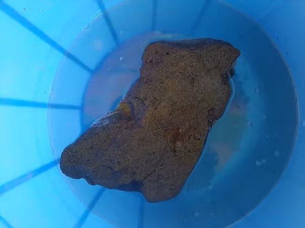 Chùa Som Rong sở hữu cặp đá nặng 4,2kg nổi được trên mặt nước, có niên đại gần 600 năm. Ban đầu, đây chỉ là một ngôi chùa nhỏ bằng gỗ, vách lá.