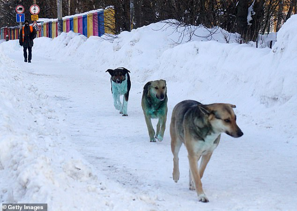 Một số người đang kêu gọi mở cuộc điều tra về bãi chứa hóa chất tại khu vực khác ở Dzerzhinsk, nơi có khoảng 300.000 tấn chất thải độc hại đã được bốc dỡ sau Chiến tranh lạnh.