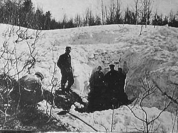 Có ý kiến cho rằng khi lực lượng cứu hộ đến khu cắm trại 26 ngày sau khi nhóm người mất tích thì không phát hiện dấu hiệu của trận lở tuyết. Con dốc nơi đoàn thám hiểm dựng trại có độ nghiêng dưới 30 độ, số liệu tối thiểu để xảy ra trận lở tuyết.