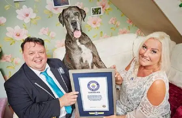 Claire Stoneman sống độc thân và không có con nên cô toàn tâm chăm sóc chú cho Freddy và thêm một con chó nhỏ khác.