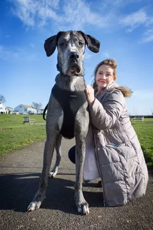 Claire Stoneman phải chi hơn 12.500 bảng (355 triệu đồng VN)/năm để mua thức ăn cho Freddy.