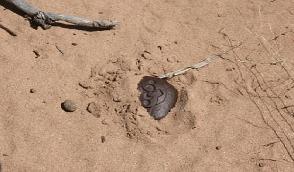 Hòn đá bí ẩn được cho là có yếu tố từ tính nhưng sau khi sử dụng phương pháp chụp X-quang và CT, các nhà khoa học không tìm thấy dạng nam châm bên trong hòn đá.