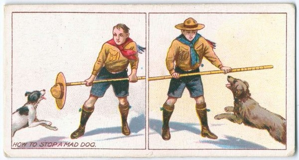 Nếu phải đối diện với chú chó dữ, cách hiệu quả nhất là sử dụng chiếc mũ bạn đang đội hoặc một cây gậy (nếu có) và giơ ra phía trước. Theo các nhà khoa học, chó có xu hướng hạ gục các vật cản trước khi tấn công một đối thủ.