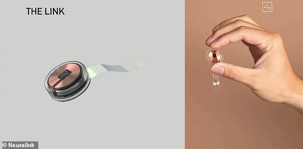 "Neuralink đang hoạt động hết sức chăm chỉ để bảo đảm an toàn khi cấy ghép và duy trì liên lạc chặt chẽ với Cục Quản lý Thực phẩm và Dược phẩm Mỹ (FDA). Nếu mọi chuyện ổn thỏa, chúng tôi có thể thử nghiệm sơ bộ trên người vào cuối năm nay", tỷ phú Mỹ Elon Musk viết trên Twitter hôm 3/2.