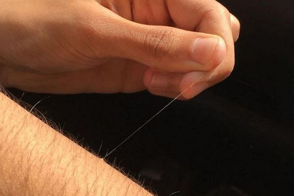 So với thời xa xưa, con người đã tiến hóa, mất đi 1 phần lớn lông trên cơ thể. Theo thời gian, nữ giới sẽ tiến hóa để đạt đến độ sở hữu mức độ lông hoàn hảo nhất và đôi khi không còn nữa. Và điều này cũng xảy ra ở nam giới, tuy nhiên với mức độ chậm hơn.