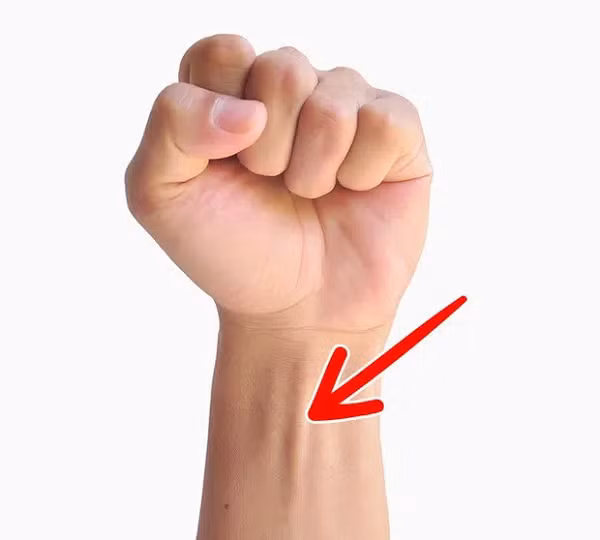 Đây là "cơ gân tay" (palmaris longus) - sợi cơ kéo dài từ cổ tay hướng đến cùi chỏ. Và chỉ có khoảng 10% dân số "may mắn" sở hữu nó thôi. Sợi cơ này là những gì còn sót lại từ quá khứ, khi tổ tiên chúng ta sử dụng chi trước để leo trèo. Có điều ngày nay, sợi cơ này chẳng còn tác dụng gì khác nữa, ngoài việc là bằng chứng củng cố Thuyết tiến hóa của Darwin.