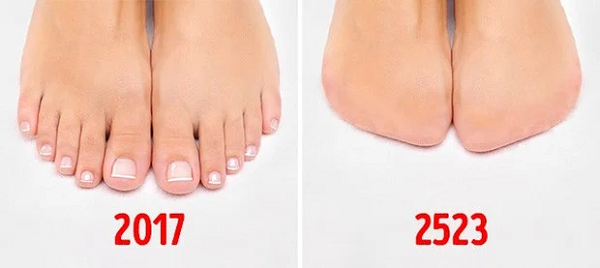 Nhiều nhà khoa học tin rằng con người có thể bước đi và giữ thăng bằng rất tốt mà chẳng cần đến quá nhiều ngón chân. Cụ thể, con người khi bước đi có xu hướng dồn trọng tâm vào ngón chân cái thôi, và đây là xu hướng mới thay đổi thôi. Điều này có nghĩa rằng càng về sau, con người càng bớt phụ thuộc vào các ngón chân, và chúng hoàn toàn có thể biến mất theo như Thuyết tiến hoá.