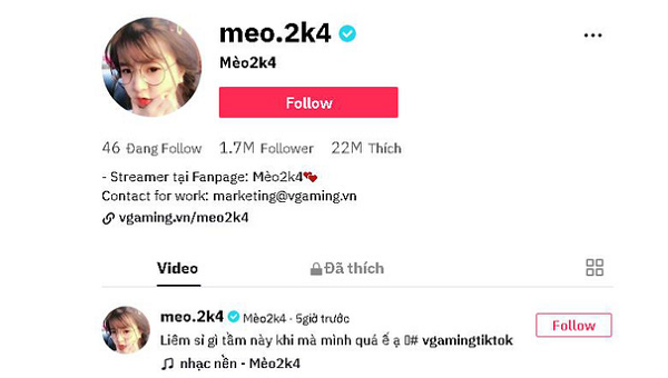 Đáng nói nhất chính là trang Tiktok của Mèo2k4 đã đạt tới hơn... 1,7 triệu người theo dõi.