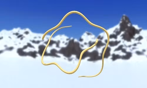 Khám phá về loài giun tròn hồi sinh trong lớp băng vĩnh cửu được coi là một cuộc cách mạng trong lĩnh vực tiềm sinh (cryobiosis) và sinh học. Đây cũng là lĩnh vực quan trọng trong khoa học viễn tưởng hiện đại, khi ngày càng có nhiều ý tưởng về việc cho con người ngủ đông trong vài năm hoặc nhiều thập kỷ trước khi thức dậy.