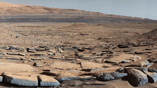 Các nhà khoa học SETI tin rằng hệ sinh vật ngoài hành tinh ở sao Hỏa rất phong phú và đang tiếp tục phát triển.