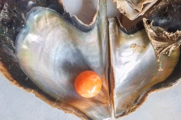 Ngư dân Hatchai Niyomdecha, 37 tuổi, đang đi thu hoạch hàu trên bãi biển cùng gia đình ở tỉnh Si Thammarat của Thái Lan thì anh tìm thấy một chiếc phao vứt bỏ trôi dạt vào bờ biển.