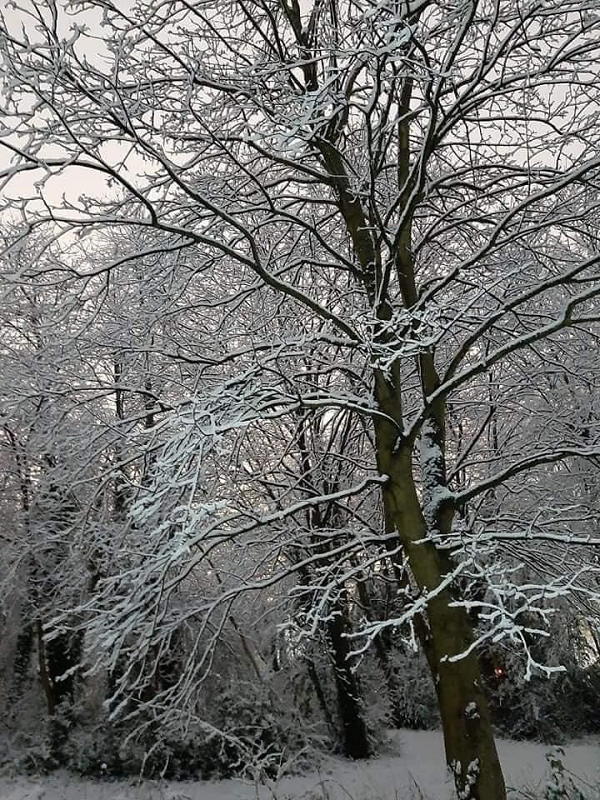 Khung cảnh mùa đông ở vùng ngoại ô nước Anh khiến người ta liên tưởng đến những câu chuyện cổ tích.