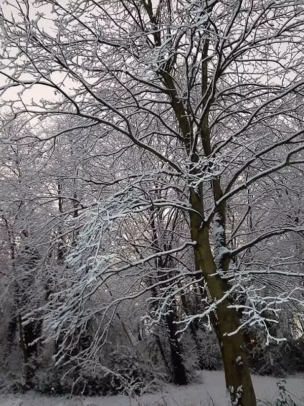 Khung cảnh mùa đông ở vùng ngoại ô nước Anh khiến người ta liên tưởng đến những câu chuyện cổ tích.
