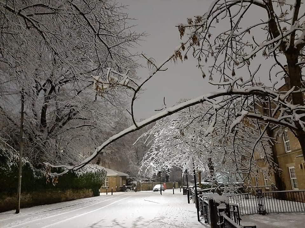 Vào năm 1873 xe buýt do tư nhân sở hữu đã được giới thiệu và chúng được thay thế bằng Sheffield Tramway vào những năm 1890 với các xe điện một tầng ban đầu chạy xa đến Springvale trước khi được mở rộng đến South Road.