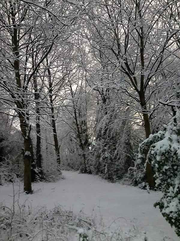 Khung cảnh ở đây vẫn còn khá hoang sơ và gần gũi với thiên nhiên.