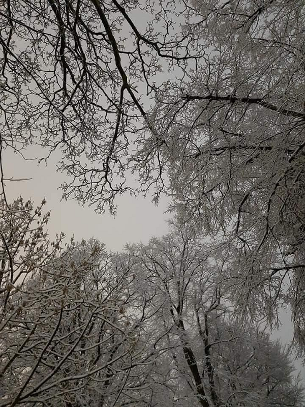 Các xe điện đã ngừng hoạt động vào năm 1956, và toàn bộ mạng lưới Sheffield cuối cùng đã đóng cửa vào năm 1960, sau đó các xe bus trở thành phương tiện chính.