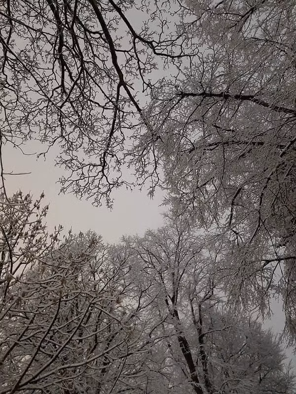 Các xe điện đã ngừng hoạt động vào năm 1956, và toàn bộ mạng lưới Sheffield cuối cùng đã đóng cửa vào năm 1960, sau đó các xe bus trở thành phương tiện chính.