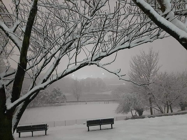 Nguồn gốc của cái tên Walkley xuất phát từ tiếng Anh cổ với tên gốc là "Walcas Leah", có nghĩa là người dọn rừng của Walca. Ngôi làng Anglo-Saxon ban đầu bao gồm một vài công trình kiến trúc, chủ yếu là các tòa nhà nông trại và nhà tranh của công nhân.